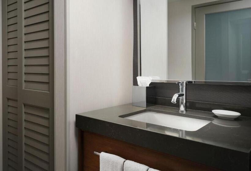 Номер Deluxe Адаптированный для Инвалидов, Courtyard By Marriott Santa Rosa