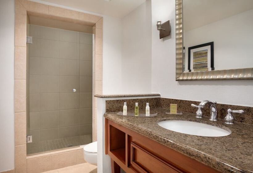Номер Стандарт Двуспальная Кровать, Doubletree By Hilton Hotel Albuquerque