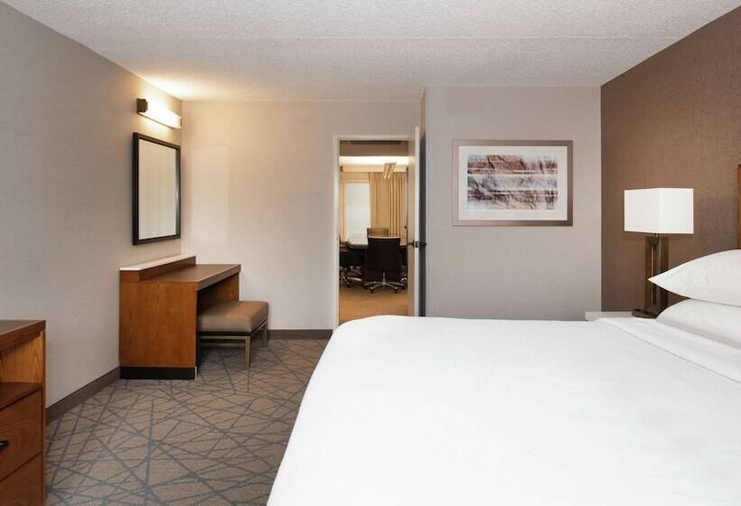 سوییت, Embassy Suites By Hilton Colorado Springs