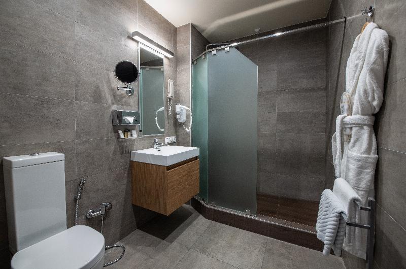 장애인을 위한 킹사이즈 침대 스탠다드 룸, Holiday Inn Hotel & Suites Des Moines Northwest, An Ihg