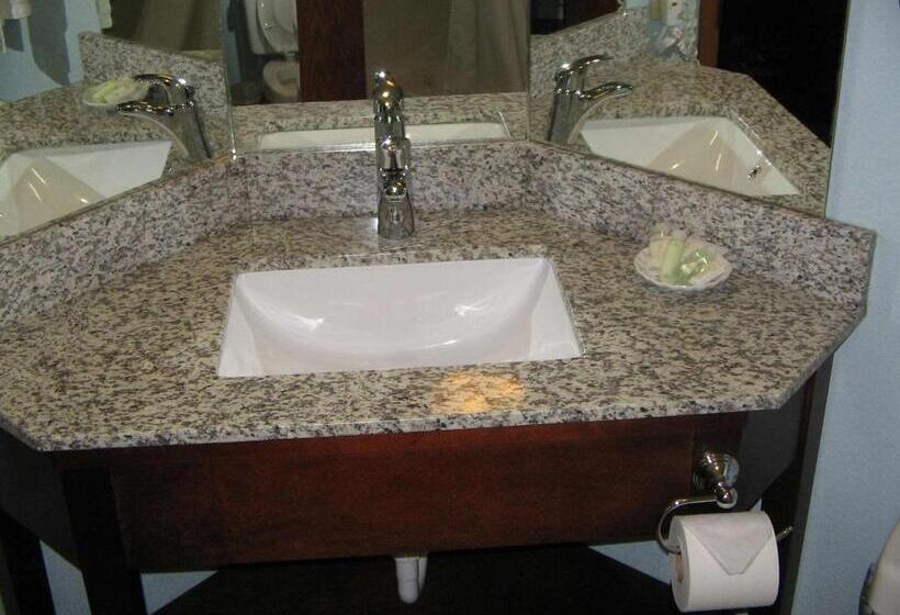 اتاق استاندارد با تخت بزرگ, The Hotel At Dayton South