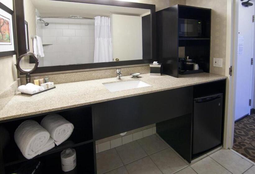 장애인을 위한 킹사이즈 침대 스탠다드 룸, Wyndham Minneapolis South Burnsville