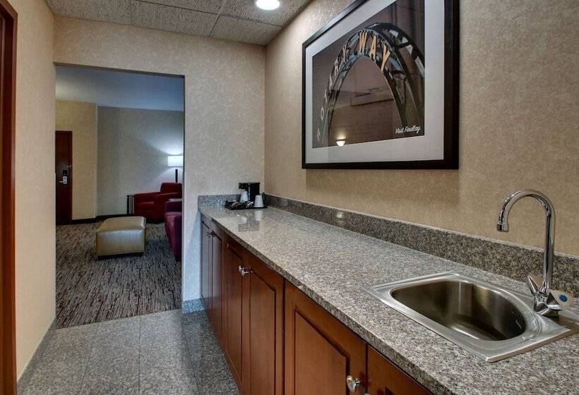 Люкс, Drury Inn & Suites Findlay