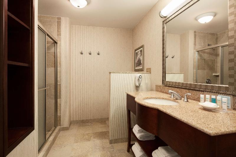 스탠다드 룸 킹사이즈 침대, Hampton Inn & Suites Washingtondulles International Airport