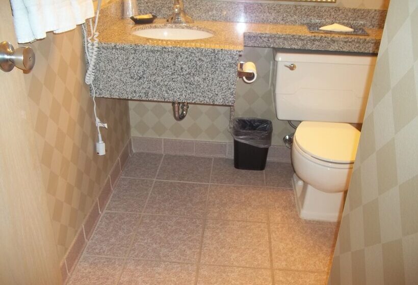 스탠다드 룸, Holiday Inn Rock Springs, An Ihg