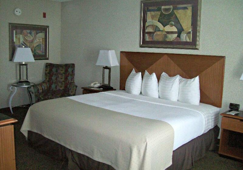 이그제큐티브 룸 킹사이즈 침대, Holiday Inn Rock Springs, An Ihg