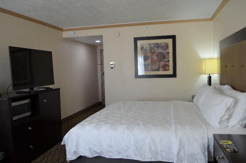 스탠다드 룸 킹사이즈 침대, Holiday Inn Rock Springs, An Ihg