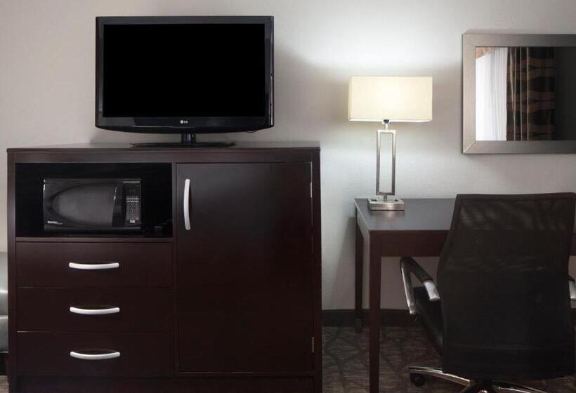 חדר סטנדרט עם מיטת קינג, Holiday Inn Corpus Christi Arpt & Conf Ctr, An Ihg
