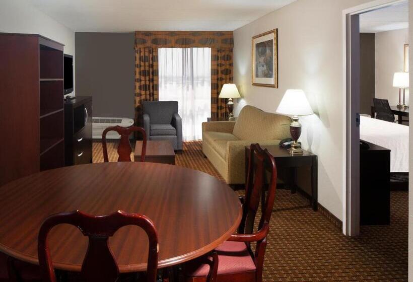 מיטת קינג בסוויטה, Holiday Inn Corpus Christi Arpt & Conf Ctr, An Ihg