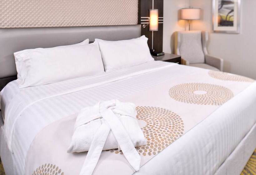 스탠다드 룸, Holiday Inn Dallas Richardson, An Ihg