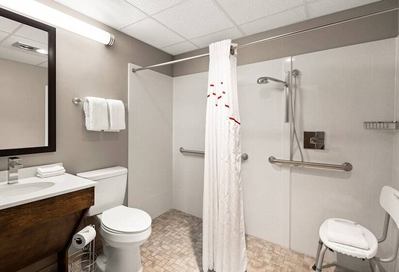 适合残疾人士使用的高档房间, Red Roof Inn Norwich