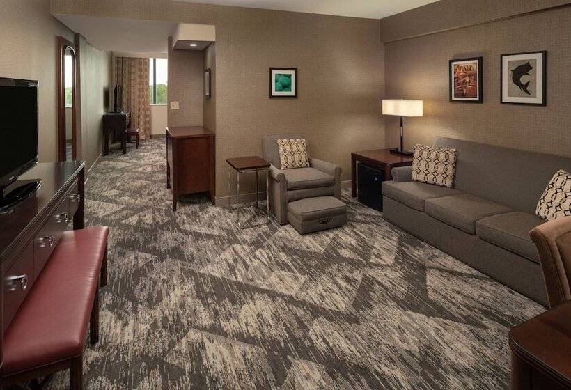 Люкс Клуб, Sheraton Tampa Brandon