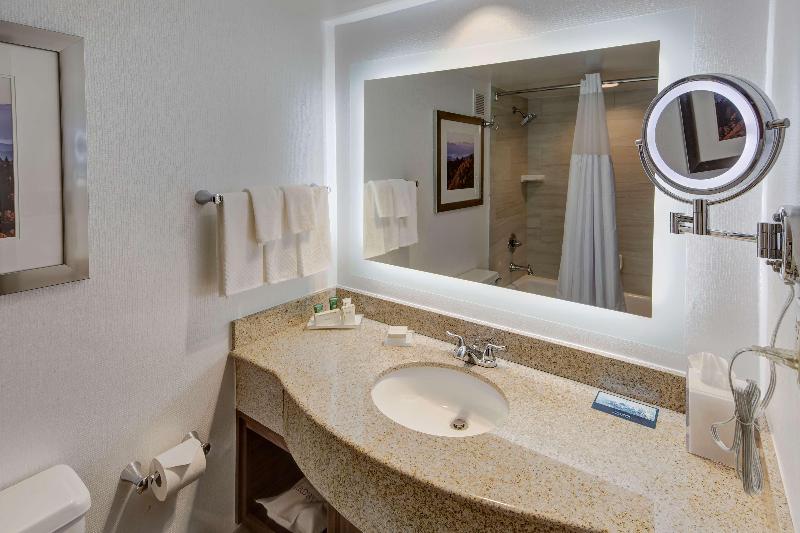 带大床的标准间, Hilton Knoxville Airport