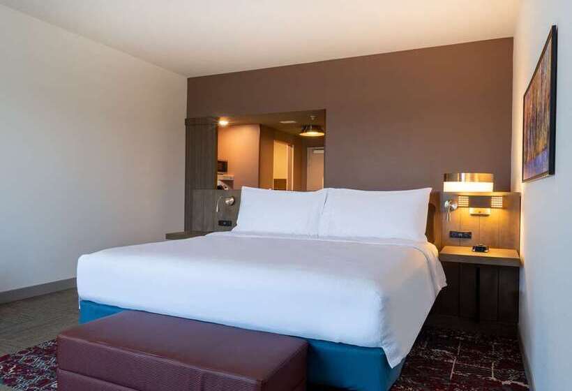 חדר דחוקס עם מיטת קינג, Hilton Garden Inn Knoxville Papermill Drive