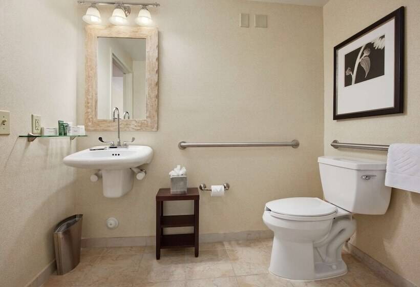Номер Стандарт Адаптированный для Инвалидов, Hilton Raleigh North Hills