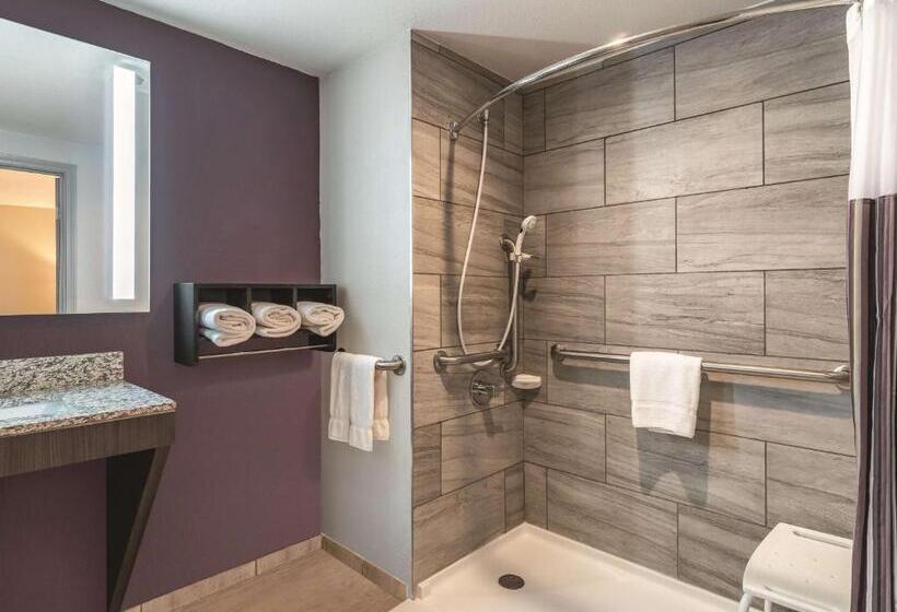 장애인을 위한 킹사이즈 침대 스탠다드 룸, La Quinta By Wyndham Glenwood Springs