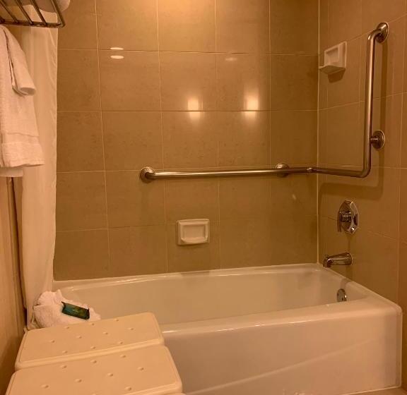 장애인을 위한 킹사이즈 침대 스탠다드 룸, Ontario Airport Hotel & Conference Center