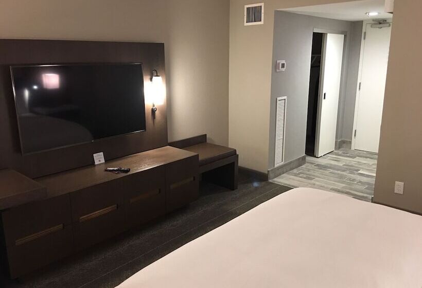 ダブルベッドスタンダードルーム, Hilton Peachtree City Atlanta Hotel & Conference Center