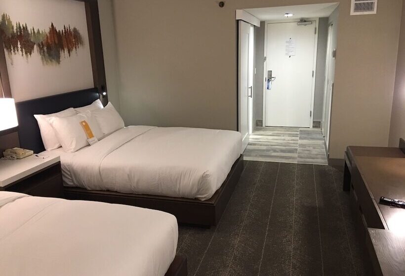 ２ダブルベッドのスタンダードルーム, Hilton Peachtree City Atlanta Hotel & Conference Center
