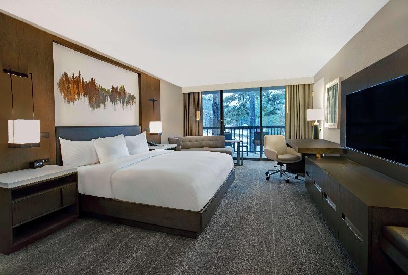 キングサイズベッドのスタンダードルーム, Hilton Peachtree City Atlanta Hotel & Conference Center