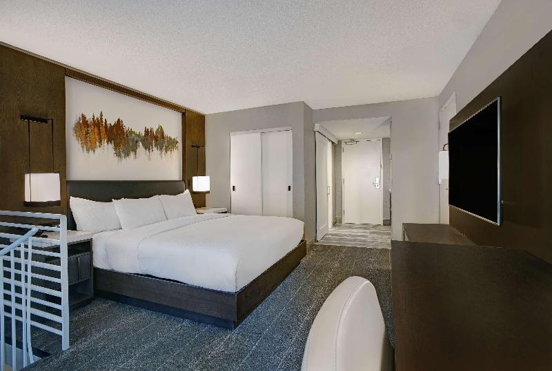 キングサイズベッドのスイートルーム, Hilton Peachtree City Atlanta Hotel & Conference Center