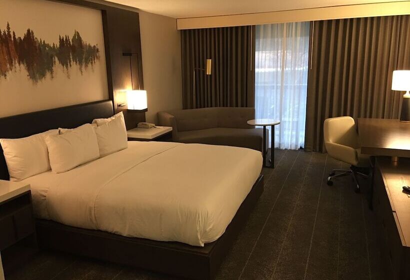 ダブルベッドスタンダードルーム, Hilton Peachtree City Atlanta Hotel & Conference Center