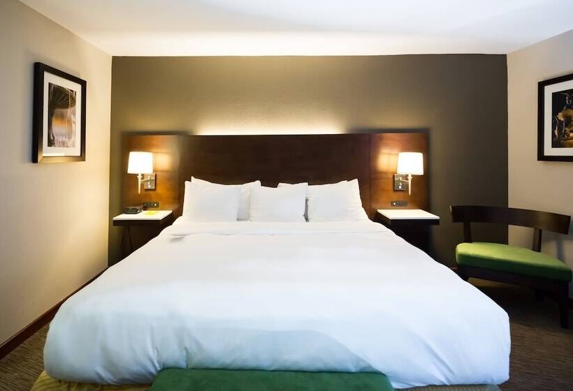 Номер Премиум Вид на Город, Radisson Hotel Cincinnati Riverfront