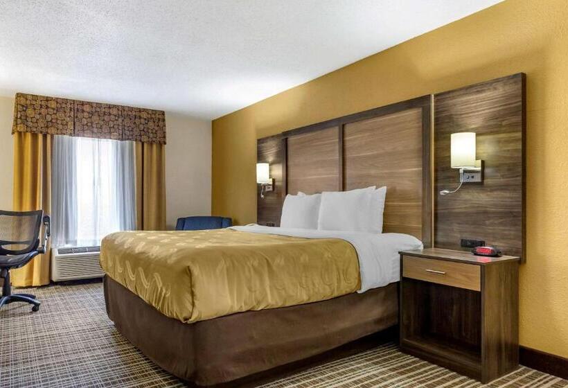 Стандартный Номер Кровать Кинг, Quality Inn & Suites  Greensborohigh Point