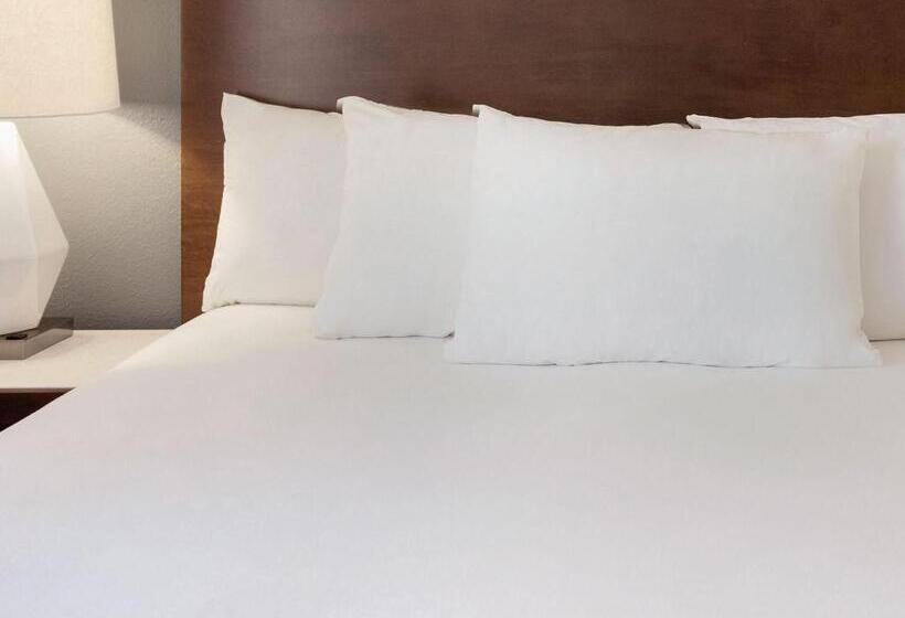 이그제큐티브 룸, Radisson Hotel Bismarck