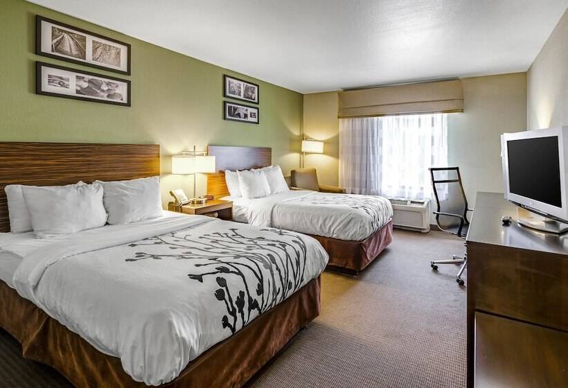 스탠다드 룸 더블 침대 2개, Sleep Inn Boone University Area