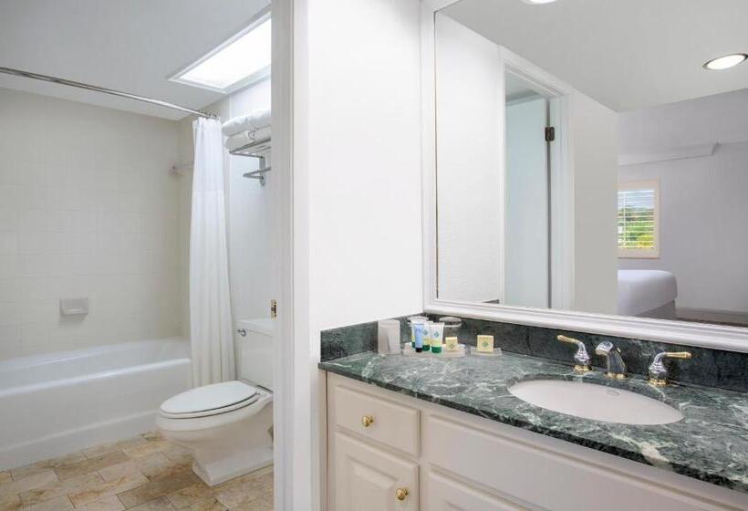 Студия Стандарт, Saddlebrook Golf Resort & Spa Tampa North Wesley Chapel