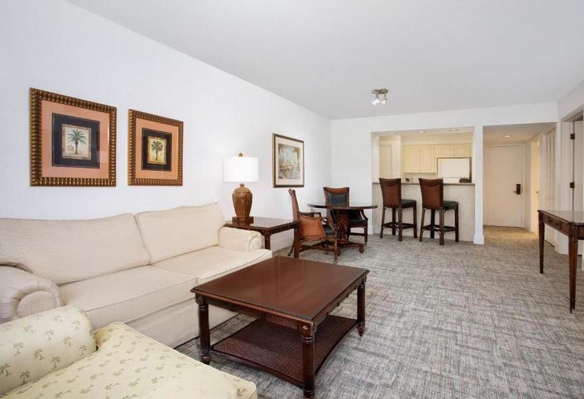 套房带泳池景, Saddlebrook Golf Resort & Spa Tampa North Wesley Chapel