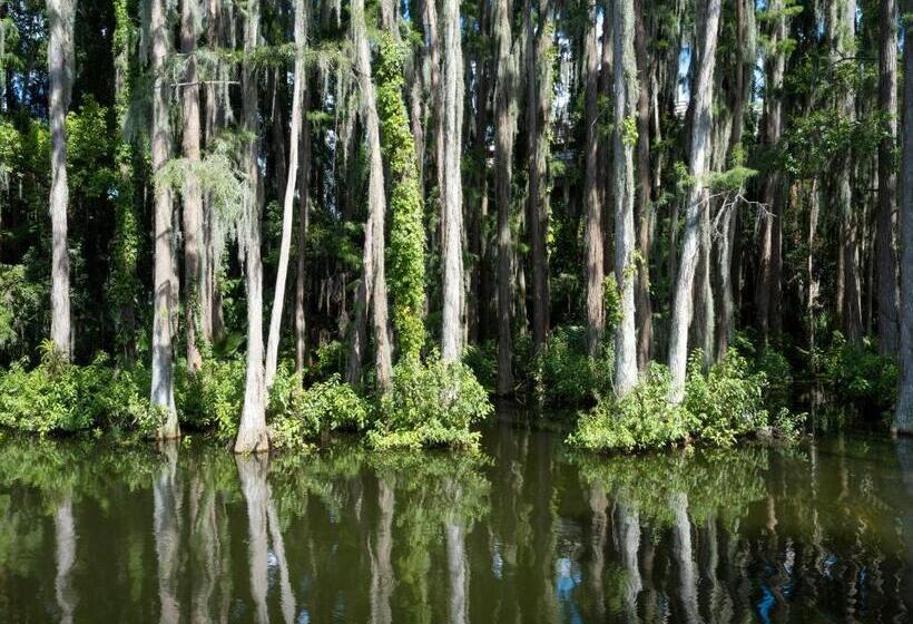 标准间, Saddlebrook Golf Resort & Spa Tampa North Wesley Chapel