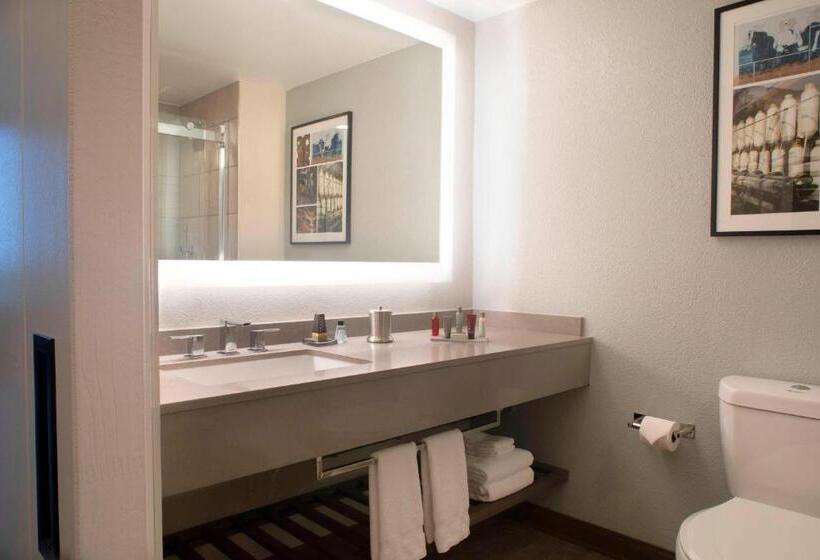 Номер Deluxe Адаптированный для Инвалидов, Winstonsalem Marriott