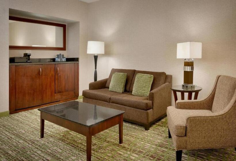 キングサイズベッドのスイートルーム, Salt Lake City Marriott University Park