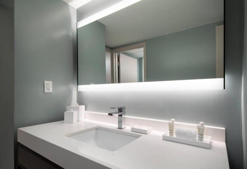 장애인을 위한 킹사이즈 침대 스탠다드 룸, Torrance Marriott Redondo Beach