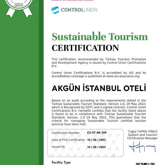 シングルデラックスルーム, Akgun Istanbul