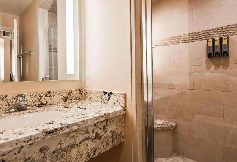 스탠다드 룸 킹사이즈 침대, Best Western Plus Arroyo Roble & Creekside Villas