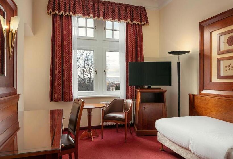 标准单人间, Spa Hotel Villa Smetana