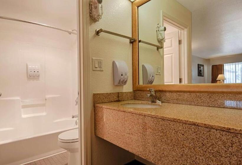 스탠다드 룸, Best Western Colorado River Inn