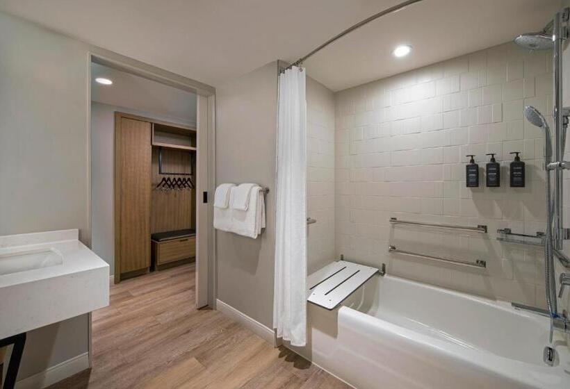 장애인용 디럭스룸, Sheraton Birmingham