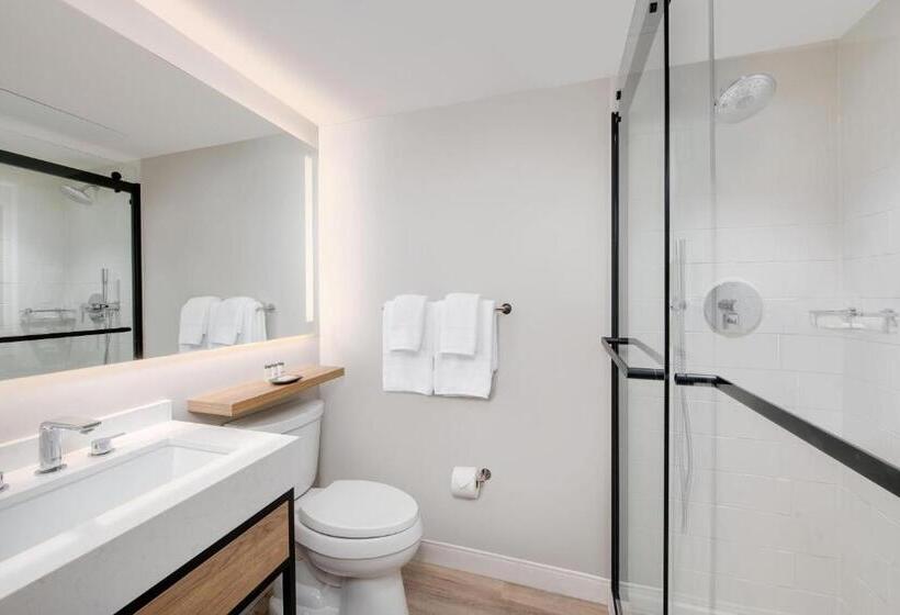 장애인을 위한 킹사이즈 침대 스탠다드 룸, Sheraton Birmingham