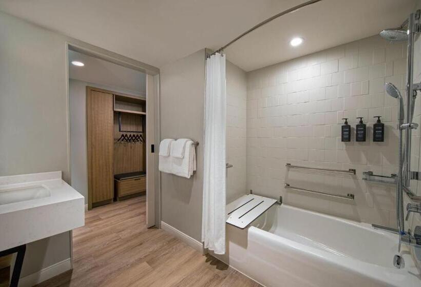 장애인을 위한 킹사이즈 침대 스탠다드 룸, Sheraton Birmingham