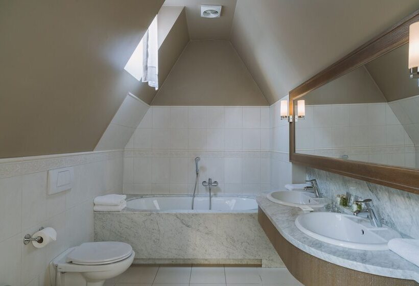 小型套房, Art Hotel Wrocław