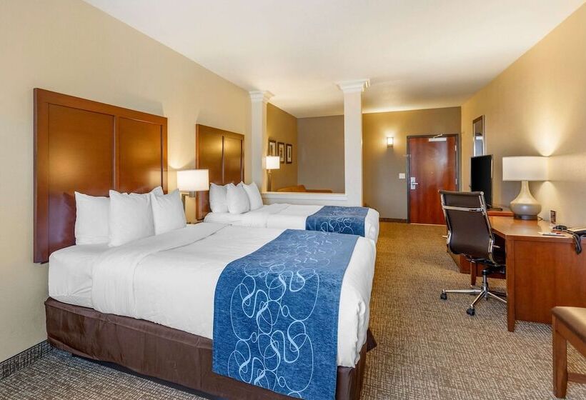 סוויטה מותאמת לאדם עם מוגבלויות, Comfort Suites Near Denver Downtown