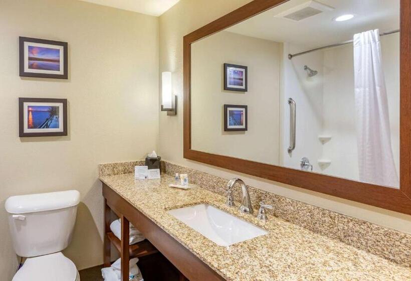סוויטה מותאמת לאדם עם מוגבלויות, Comfort Suites Near Denver Downtown