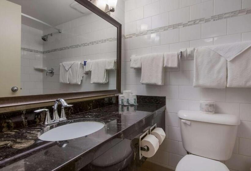 Люкс Кровать Кинг, Best Western Brantford Hotel And Conference Centre