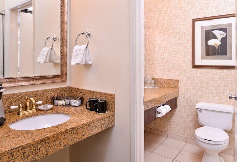 Номер Стандарт 2 Двуспальные Кровати, Best Western Corte Madera Inn