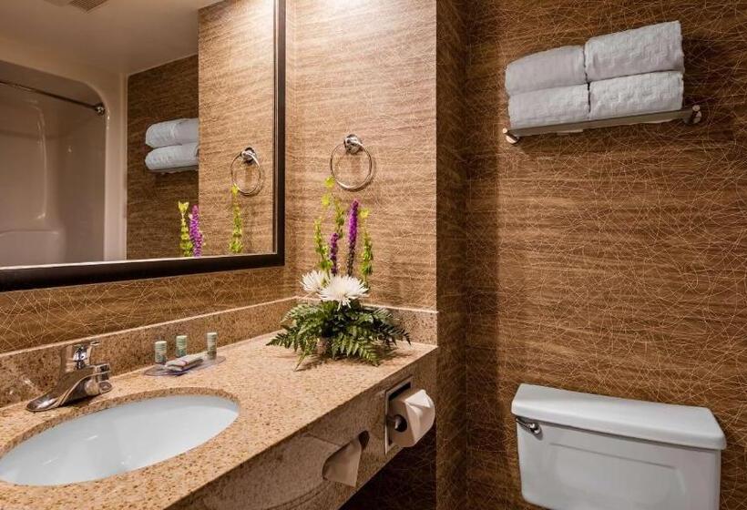 Номер Стандарт 2 Двуспальные Кровати, Best Western Detroit Livonia