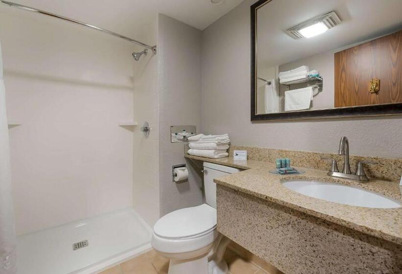 Люкс Кровать Кинг, Best Western Detroit Livonia